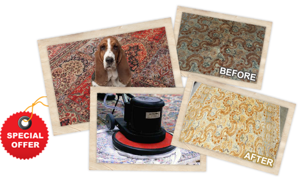 Services of Rug Cleaning Spring TX